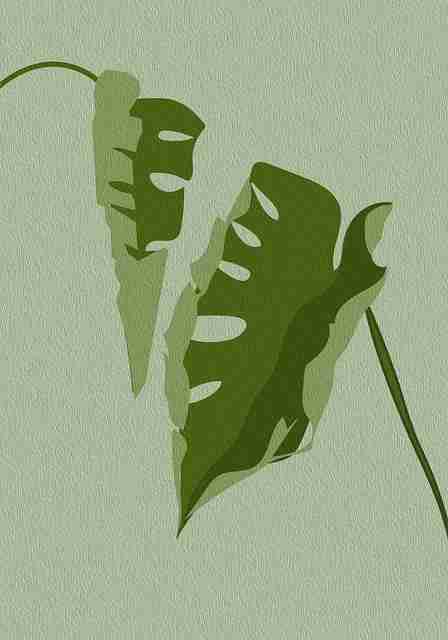 145个理由让你拥抱麻豆app官网，生态剖析