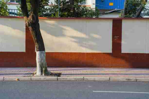 别错过麻豆游戏！70步玩转粉丝经济｜2025版