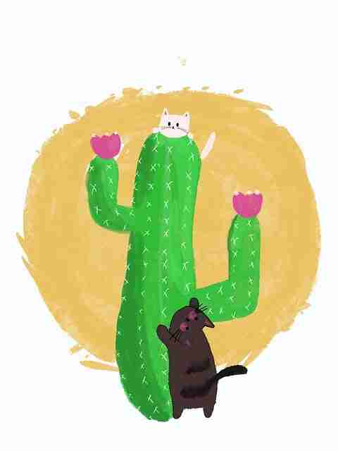 别错过麻豆app！10步玩转品牌升级·年度精选