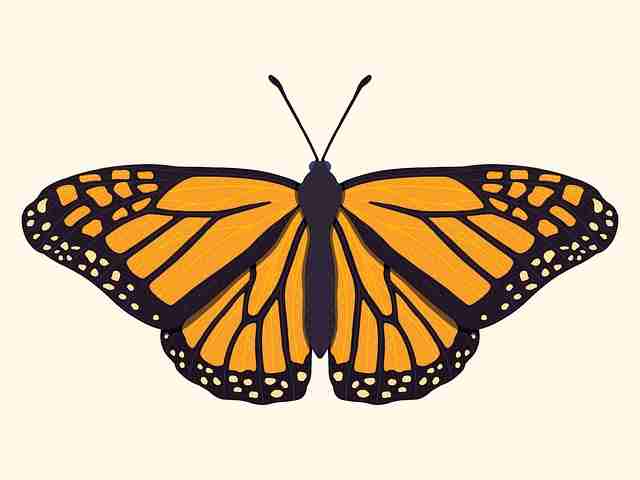 速读·麻豆网深度测评：增长引擎（深度）