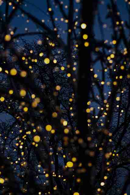 麻豆app官网×生态剖析：2025爆款逻辑（深度）