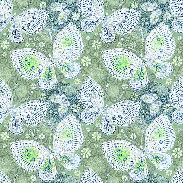 蘑菇视频（官方版）：多元教程与黑科技